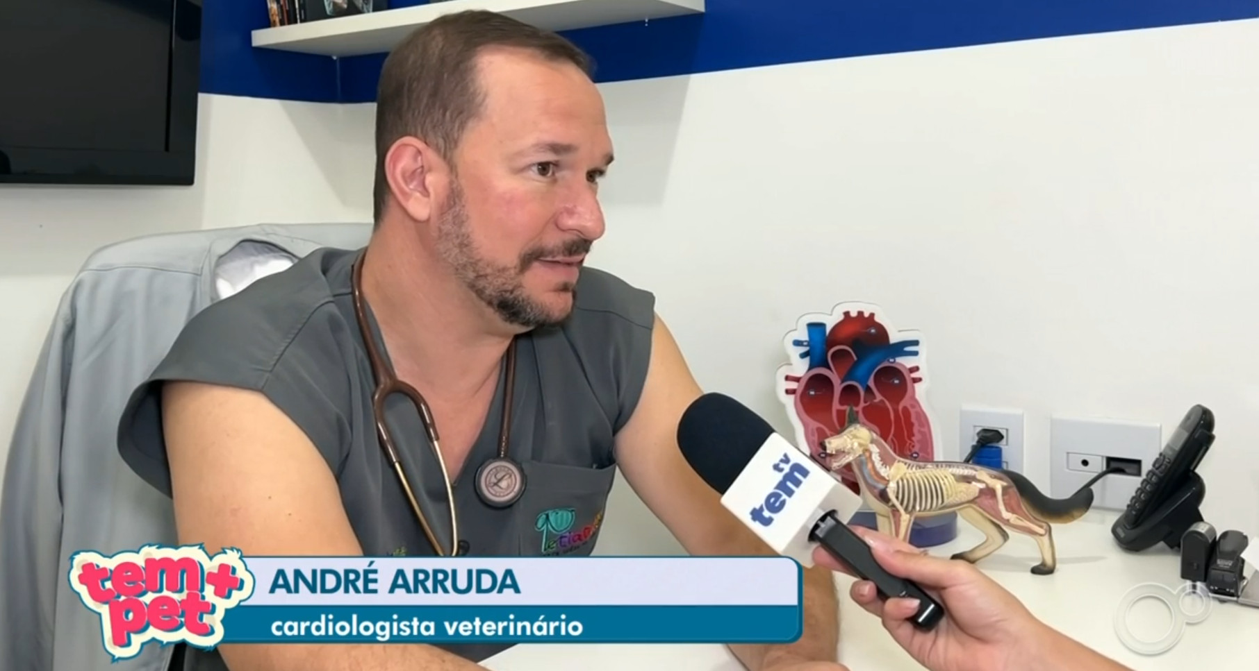 Dr. André na TV