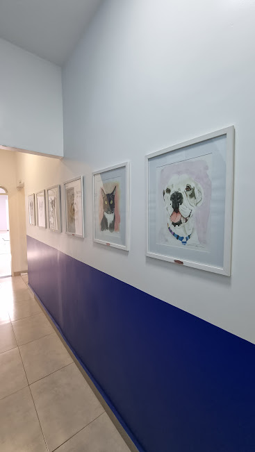 Petiatria Gallery