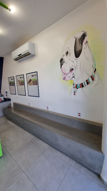 Petiatria Gallery